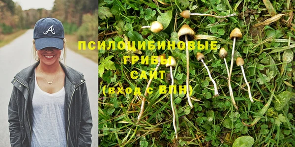 прущая мука Семёнов